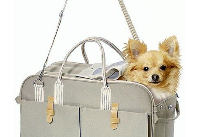 Smart Karlie Shopper City taske til små hunde fra Tholo Dit dyreunivers
