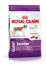 Junior giant