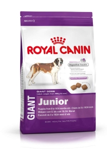 Junior giant