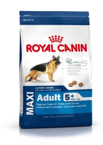 Adult maxi 5+ år