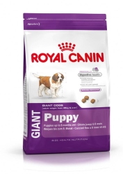 Puppy giant