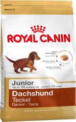 Gravhund junior