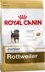 Rottweiler junior