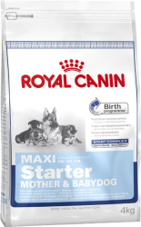 Starter & Baby maxi