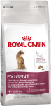Adult +1 Exigent Aromatic