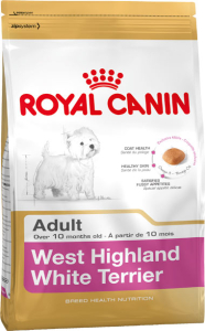 West Highland Terrier