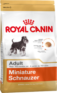 Schnauzer mini