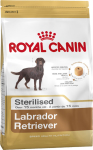 Labrador Retriever Sterilised