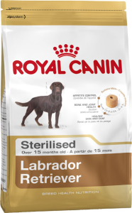 Labrador Retriever Sterilised