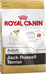 Jack Russel