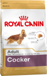 Cocker Spaniel
