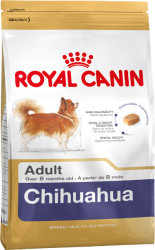 Chihuahua