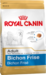 Bichon Frise