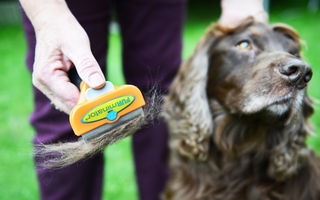 furminator børste til hund og kat