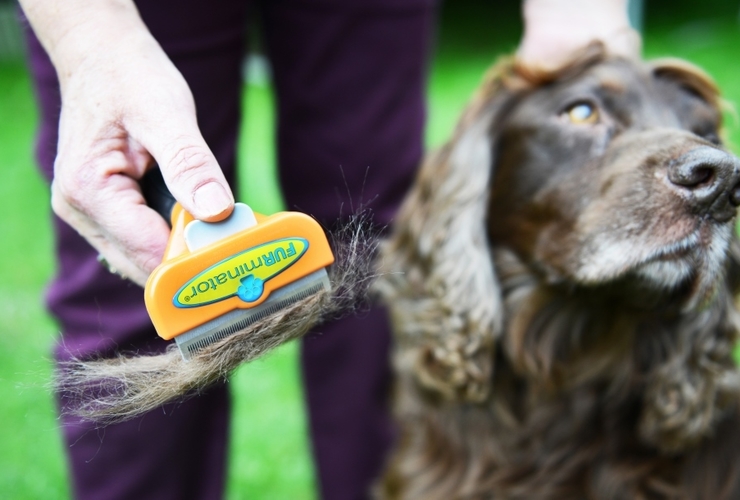 furminator børste til hund og kat