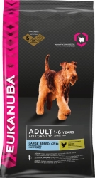 Adult large breed Kylling