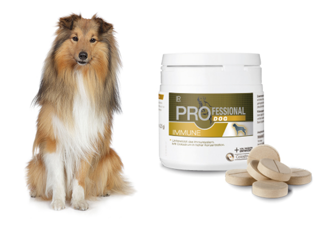 Professional Dog Immune tabletter til din hund fra Team Animal