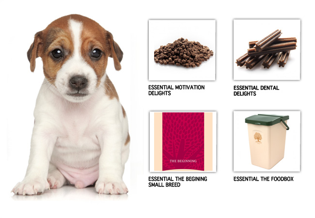 Puppy Love Package SMALL fra Essential Foods. Hvalpetiden er leg og gaver