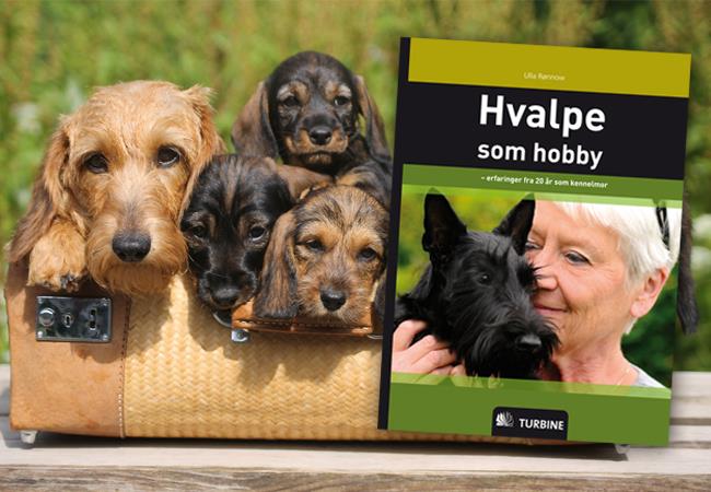 Overvejer du at få et kuld hvalpe
