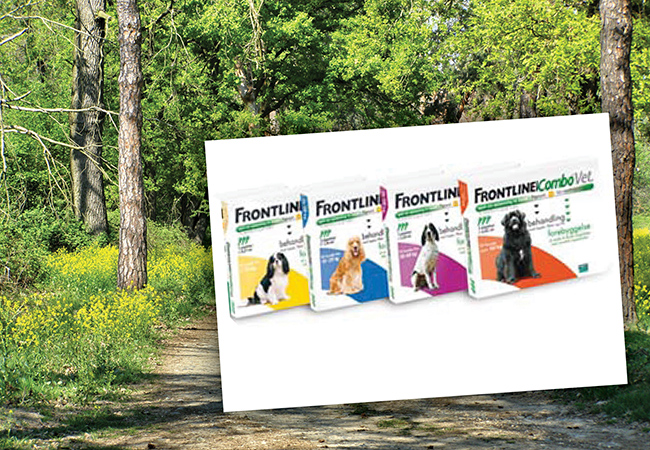Frontline til både hund og kat