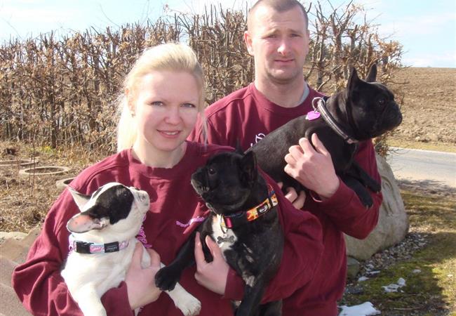 3 dages ophold til din hund hos Dyrehotel Thorndahl