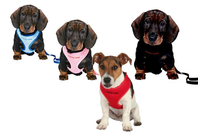Hvalpesæt fra Hundehjertet.dk Superblød og lækker sele samt line