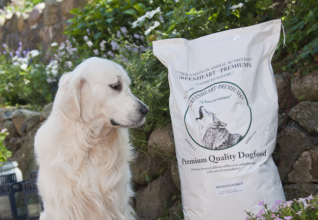 Få 15 kg. Greenheart Medium Energy hundefoder fra UdeLiv