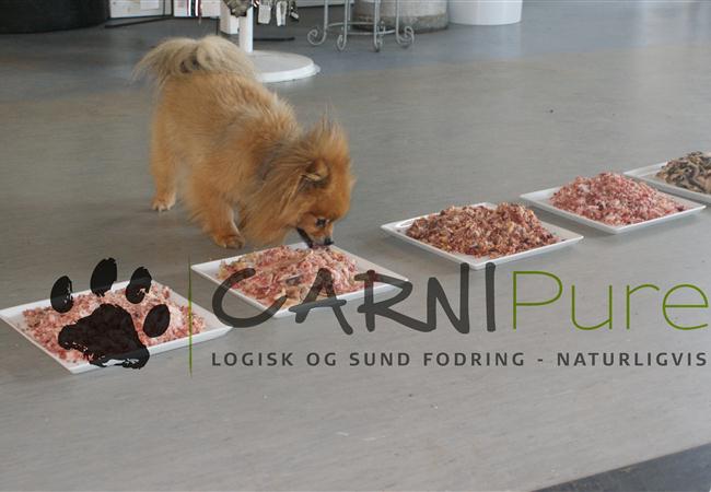 5 kg BARF-foder med bøf, håndskåret kød, oksekallun og kødben
